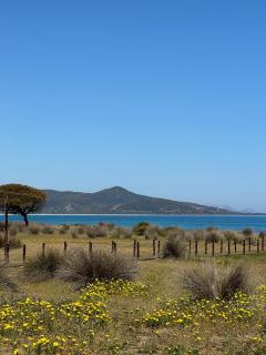 Affittacamere Belvedere - Posada - Posada - 4