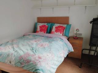 Cosy Cork - House - Sleeps 4 - City Centre - Cork - 4