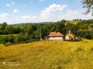 Dedovina, Gornja Tresnjevica, Aranđelovac - - 2