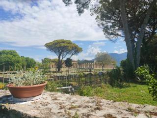 Il Giardino di Athena 1 - Paestum - 9