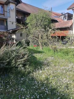 Grosse Charmante Wohnung - Erlach - 2