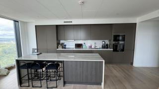 Central Luxurious Penthouse - 7