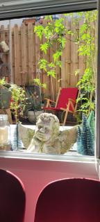 PARIS AUTHENTIC HOUSE studio with green courtyard 12 rue labourse Gentilly 94250 - Gentilly - 8