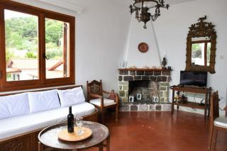 Anthi's Villa - Achladies - 1