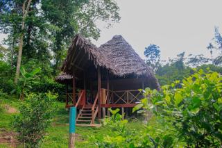 Amazon Uaturi Lodge - Iquitos - 8
