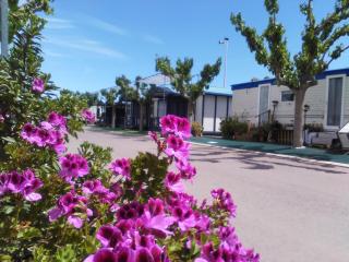 Camping y Bungalows Monmar - Moncófar - 1