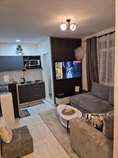 Greenzone apt, 1BR Kiambu Road - 0