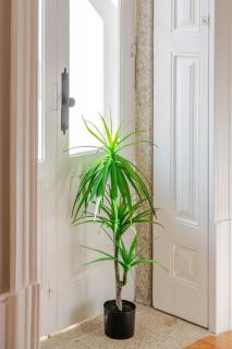 Classic Meets Modern – Downtown Balcony Retreat - Oporto - 5