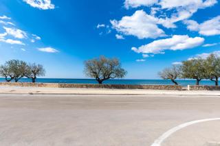 La Casa di Palma by BarbarHouse - 8