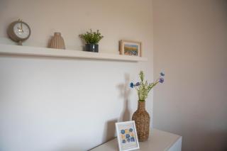 Kornblume - - 5