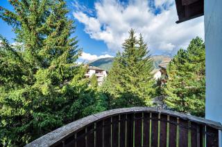 Chesa Ronchi - Celerina - Celerina - 1