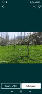 Bogi shamol - - 8