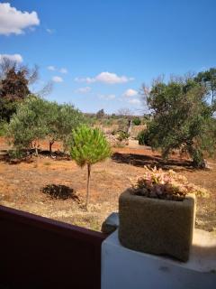 Dimora Acquare, in Salento, by Apulia home - Alliste - 8