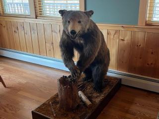 Longden Lodge - Adirondacks - 7