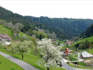 Landpension Am Sommerhang - Bad Rippoldsau-Schapbach - 7