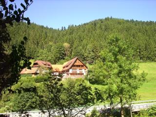 Ferienwohnungen Vogt's Libding - Bad Rippoldsau-Schapbach - 5