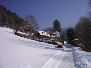 Ferienwohnungen Vogt's Libding - Bad Rippoldsau-Schapbach - 6