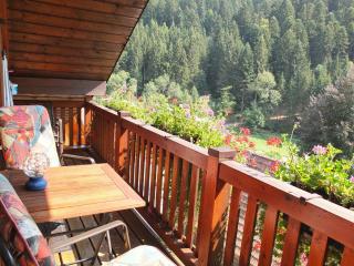 Ferienwohnungen Vogt's Libding - Bad Rippoldsau-Schapbach - 3