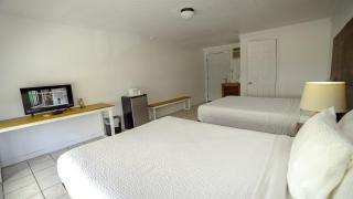 Banana Peel Lodge - Panama City Beach - 9