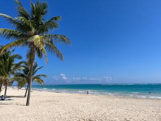 Spacious 1 bedroom appartment in sunny paradise - Punta Cana - 1
