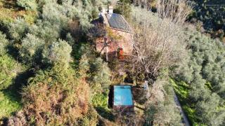Villa in Toscana con Piscina privata e parco privato - Montemagno - 7