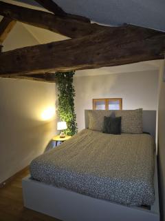 Joli duplex en plein cœur du centre ville - Villefranche-sur-Saône - 8