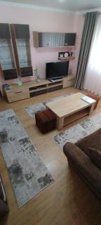 Cool Apartment Radauti - 3