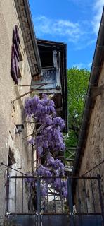 Maison Routier - Saint-Cirq-Lapopie - 1