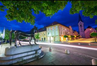Apartments Marja - Slovenj Gradec - 9