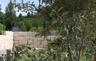 Weingut Landerer - Niederrotweil - 3