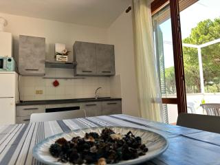Appartamenti vacanze Aragosta - Marina di Bibbona - 7