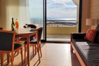 Tipoz'Immo - Le Grand Large 209 accès direct plage - vue mer - animaux bienvenus - wifi inclus - linge inclus - parking gratuit - grand balcon - 7