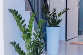Maison Matilda 1 - Capo dʼOrlando - 9