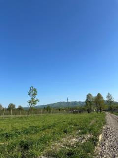 Căsuța de la munte - Rîşca - 6