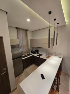 departamento centrico - 8