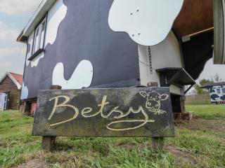 Betsy Cow Shed 2 - Woodbridge - 9
