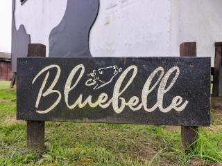 Bluebelle Cow Shed 5 - 8