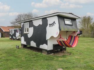 Dozy Dotty Cow Shed 4 - 0