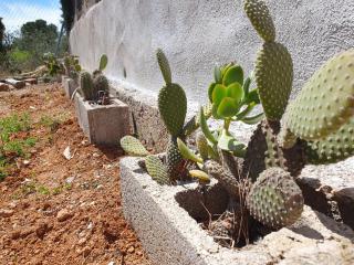 Casa Estela - Alcanar - 4