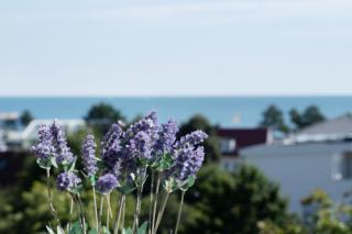 Berolina Seeblick - Dahme - 3