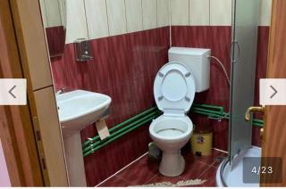 Camere de închiriat Floarea Reginei - 1