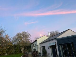Bluebell Farm - 6