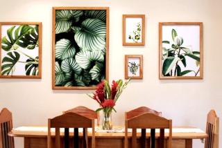 Private 2 Bdrm Home on 46 Acres along Macal River - 1