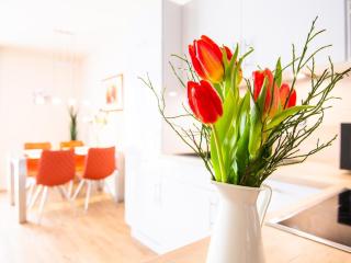 Kirschgarten Wohnung 10 - Kellenhusen - 2
