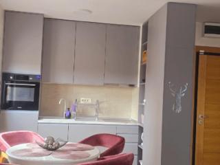 Apartman Ilic - Zlatibor - 6