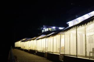 Orophile Retreat Resort - Tota Ām - 8