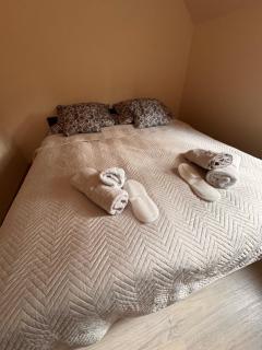 Apartament Exclusive Premium Sielpia w Sielpi Wielkiej z jacuzzi na życzenie - Sielpia Wielka - 9