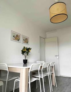Grand appartement lumineux - Vaulx-en-Velin - 8