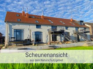 Landloft Linum - Ausgebaute Scheune mit Blick ins Vogelschutzgebiet, Kamin, Luxusausbau, handverlesene MidCentury Möbel & Kunst - Fehrbellin - 9