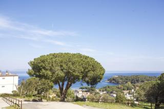 Verde Blu - Elba Affitti - Capoliveri - 6